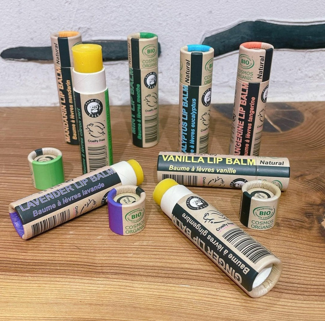 Organic Eucalyptus Lip Balm - 1 piece - 100% paper packaging-3